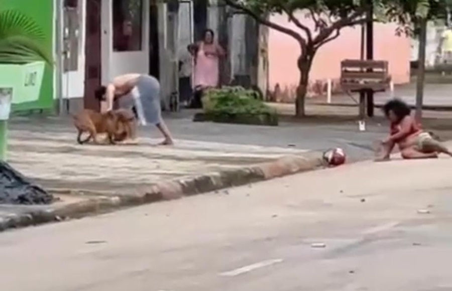 VÍDEO: Cães da raça Pitbull atacam mulher no meio da rua em Porto Velho