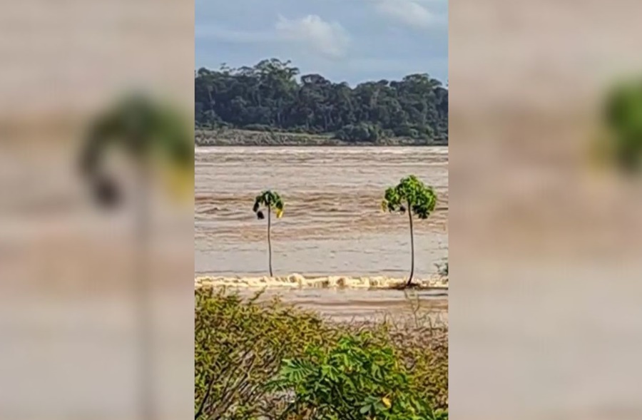 TERRAS CAÍDAS: Banzeiros no Rio Madeira provocados pela UHE Santo Antônio voltam a destruir