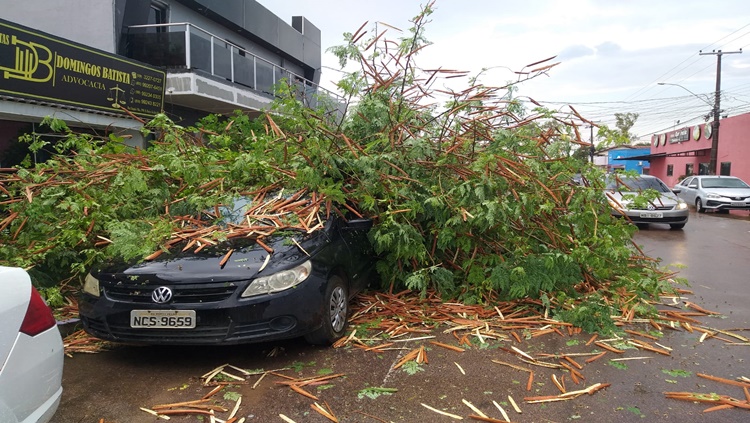 DESTRUIÇÃO: Fortes ventos e chuva intensa causam prejuízos em Porto Velho